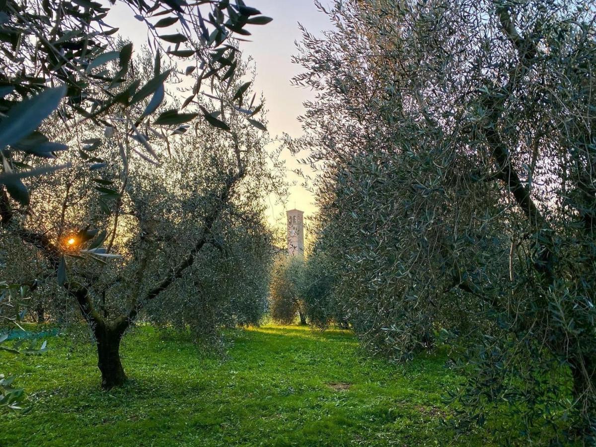All'Antica Scuderia Del Castello Maiano  Ngoại thất bức ảnh